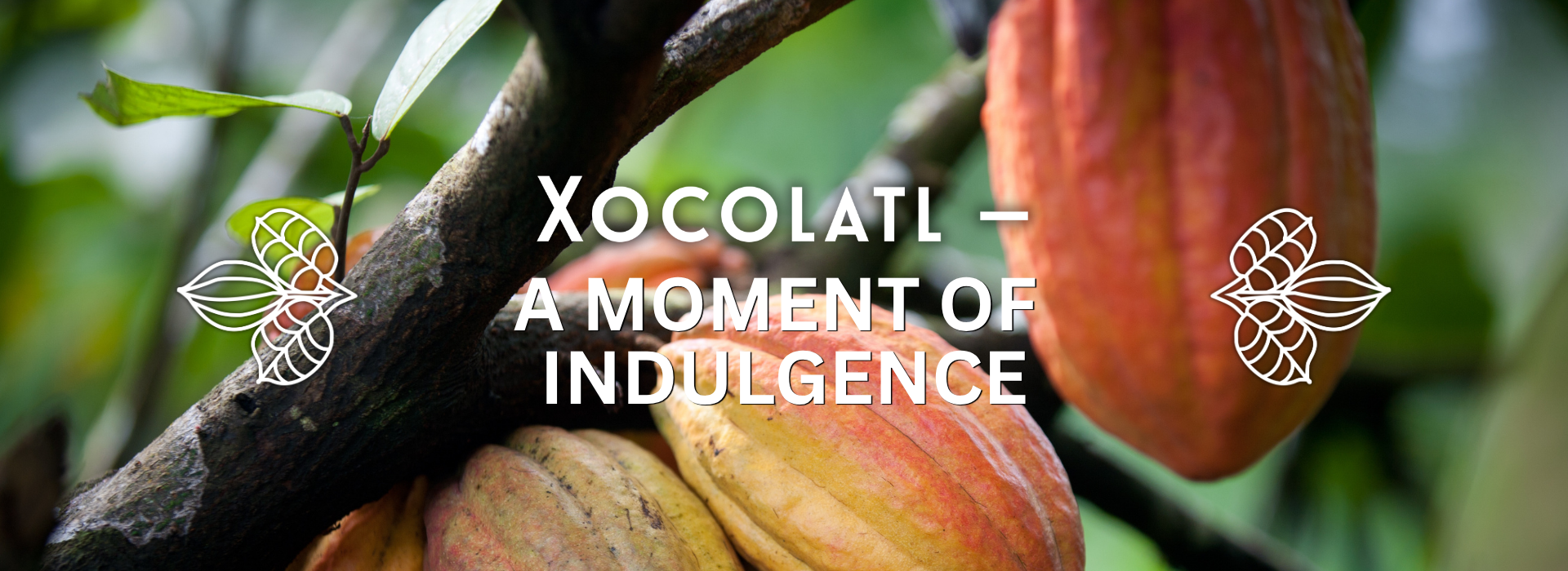 Xocolatl – A Moment of Indulgence