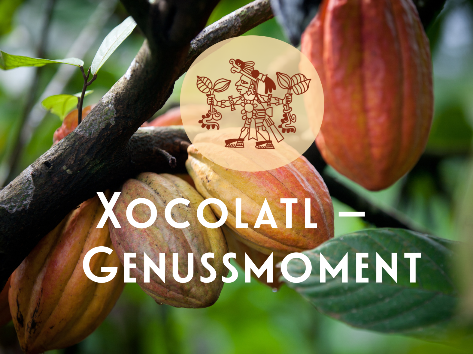 Xocolatl – Genussmoment